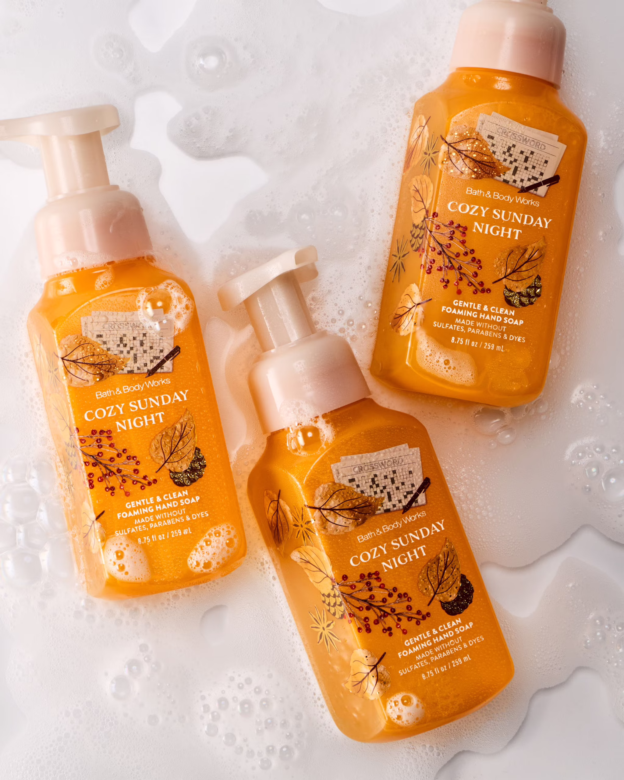 Cozy Sunday Night Gentle & Clean Foaming Hand Soap - Image 4